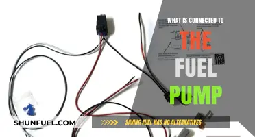 Understanding the Fuel Pump: Components and Connections Explained