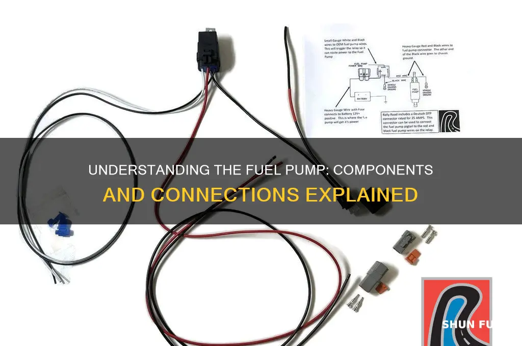 what is connected to the fuel pump