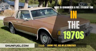 Fuel Efficiency Standards: Cars of the 1970s