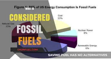 Understanding Fossil Fuels: Coal, Oil, and Natural Gas Explained