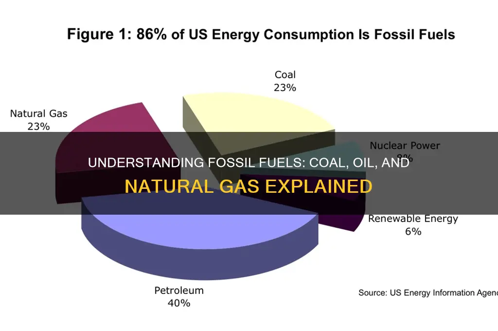 what is considered fossil fuels