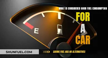 Fuel Efficiency: What Constitutes Good Mileage for Cars?