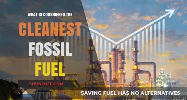 Exploring the Cleanest Fossil Fuel: Natural Gas vs. Alternatives