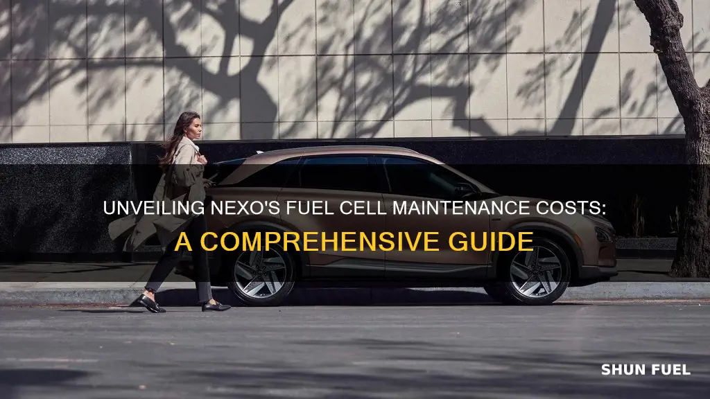 what is cost for maintenance on nexo fuel cell car