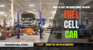 Maintenance Costs of Nexo Fuel Cell Cars