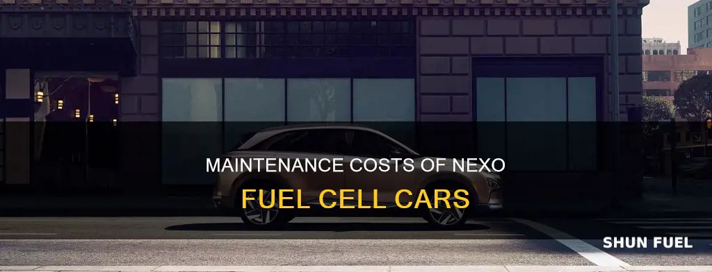 what is cost for maintenance on nexo fuel cell car