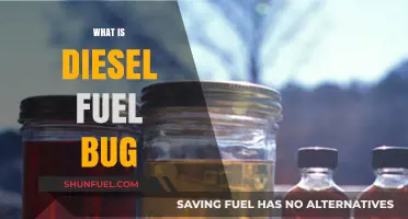 Understanding Diesel Fuel Bug: A Growing Concern