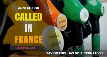 Diesel Fuel in France: What's in a Name?