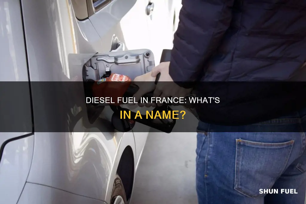 what is diesel fuel called in france