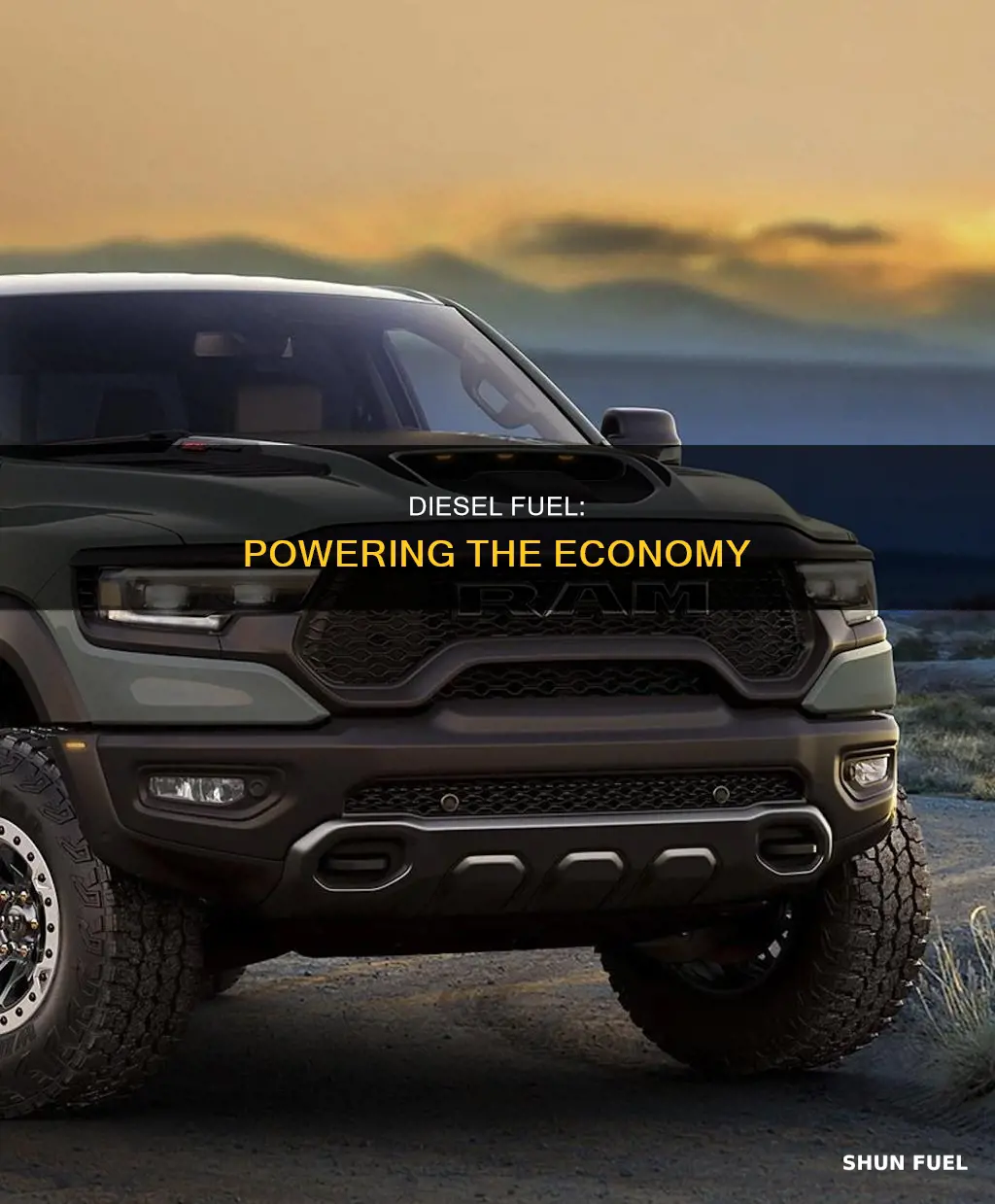 what is diesel fuel considered in economy
