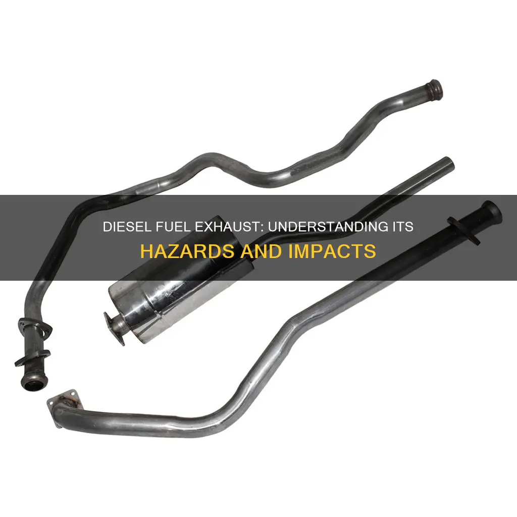 what is diesel fuel exhaust called