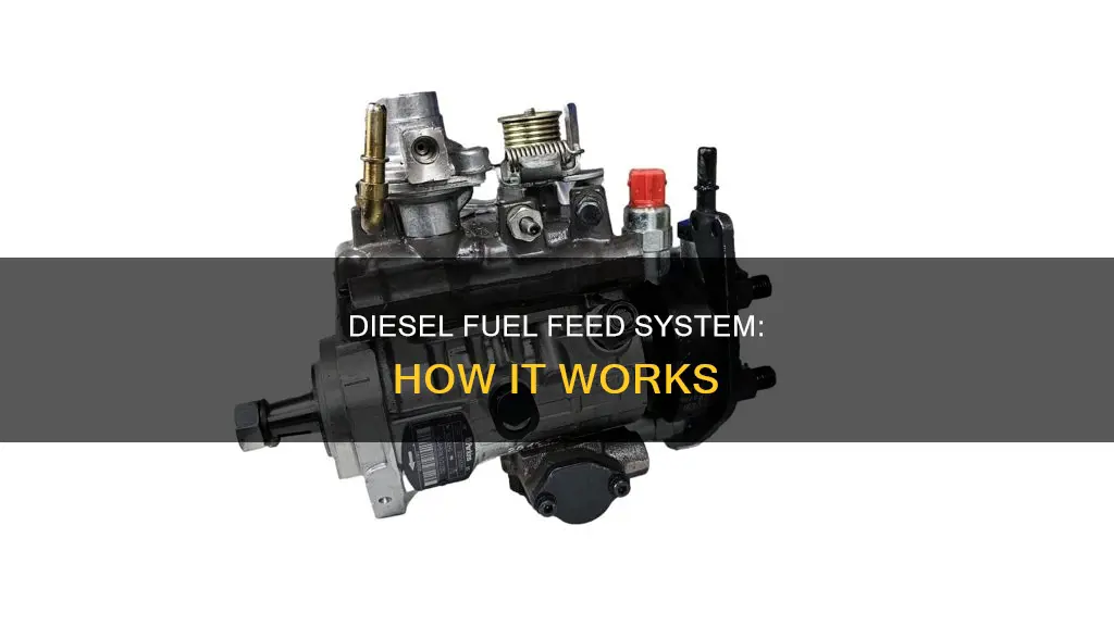 what is diesel fuel feed system