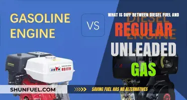 Diesel vs Gasoline: What's the Difference?