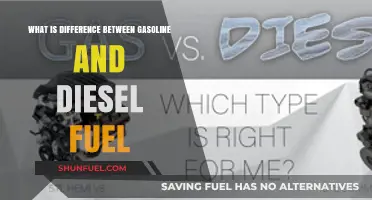 Gasoline vs Diesel: Understanding Fuel Differences
