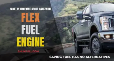 Flex Fuel Engines: Powering Cars Differently