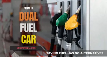 The Benefits of Dual Fuel Cars Explained