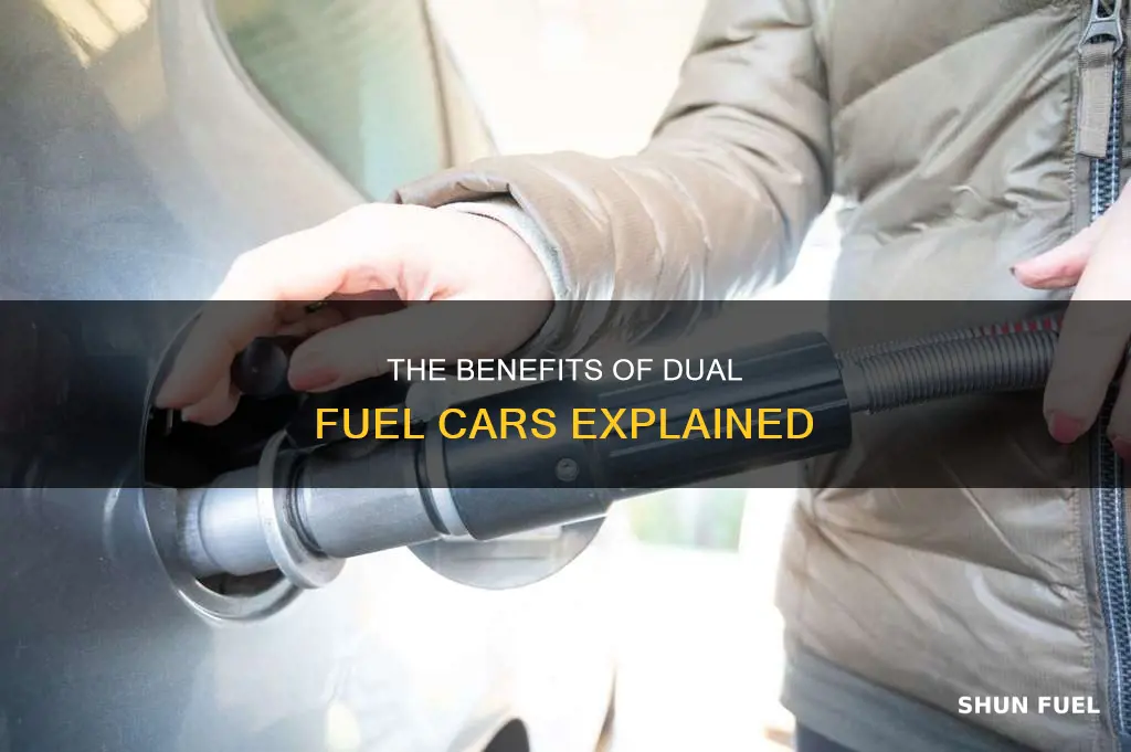 what is dual fuel car