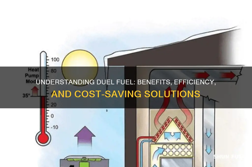 what is duel fuel