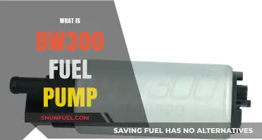 Understanding the DW300 Fuel Pump: Features, Benefits, and Applications