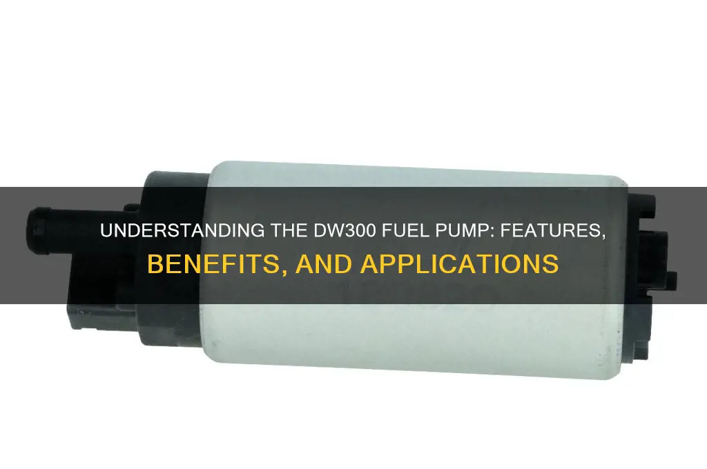 what is dw300 fuel pump