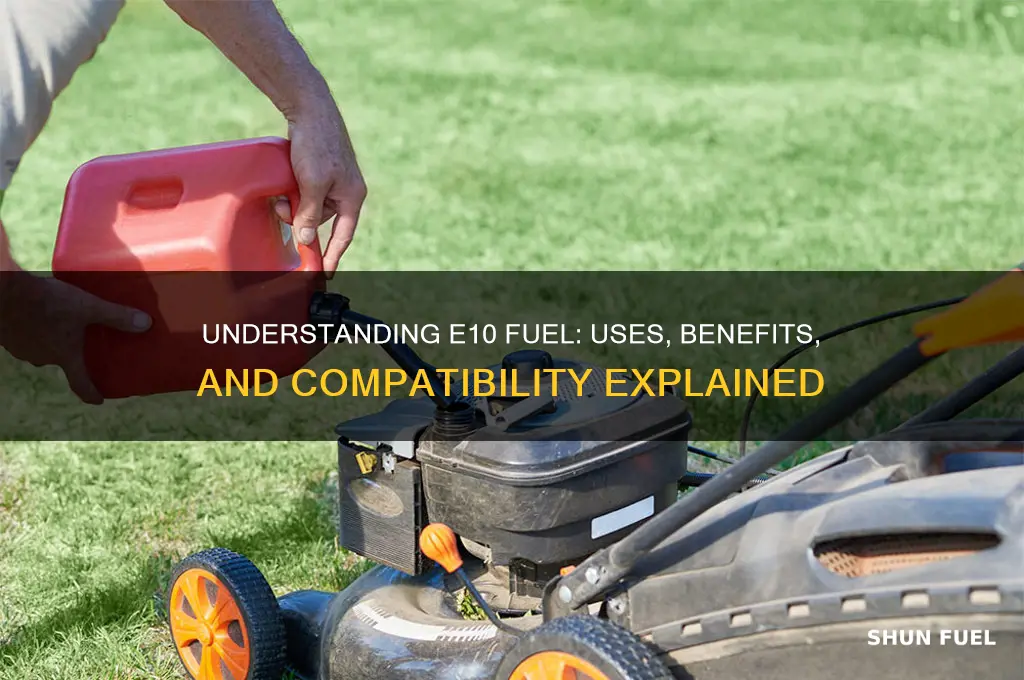 what is e10 fuel use with