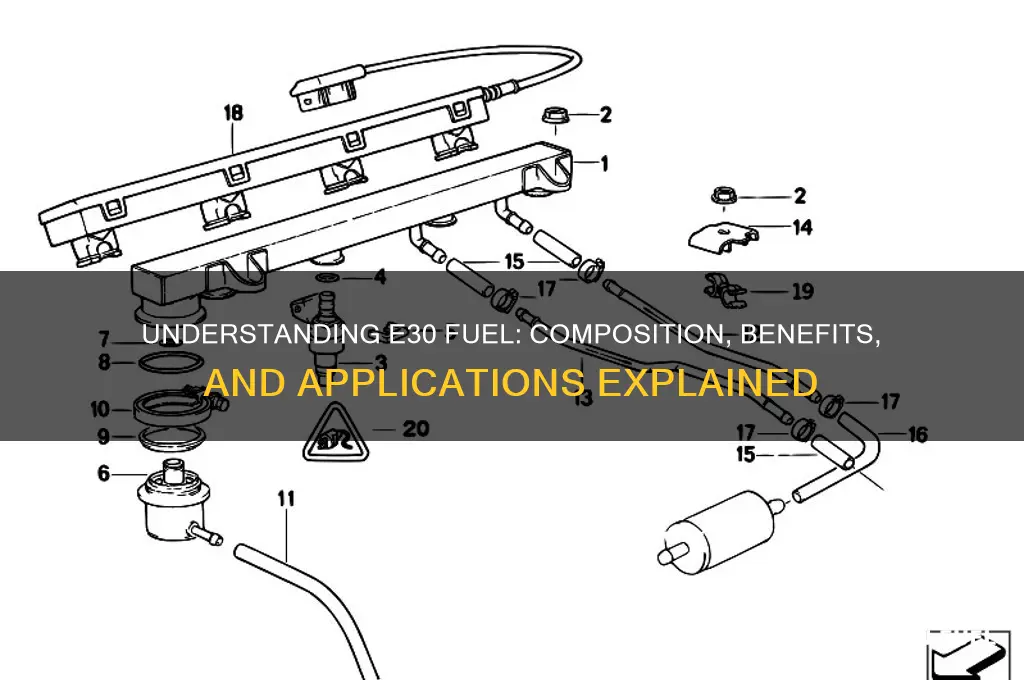 what is e30 fuel