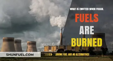 Burning Fossil Fuels: Unveiling the Emissions and Environmental Impact