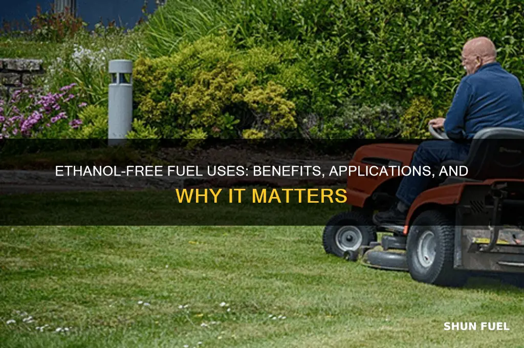 what is ethanol free fuel used for