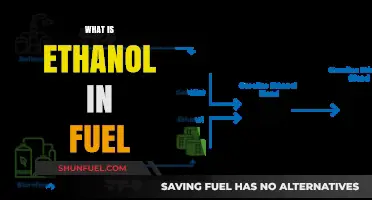 Understanding Ethanol: Its Role, Benefits, and Impact in Fuel Blends