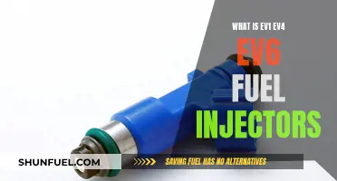 Understanding EV Fuel Injectors: EV1, EV4, and EV6