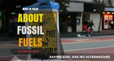 Debunking Myths: The False Narratives Surrounding Fossil Fuels