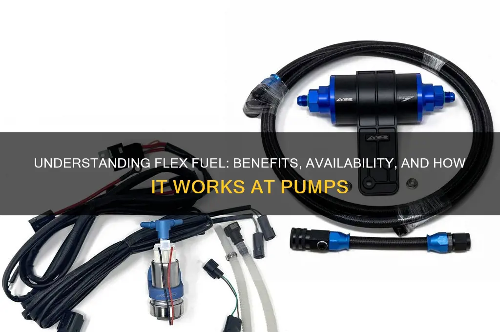 what is flex fuel at the pump