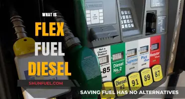 The Future of Diesel: Flex Fuel