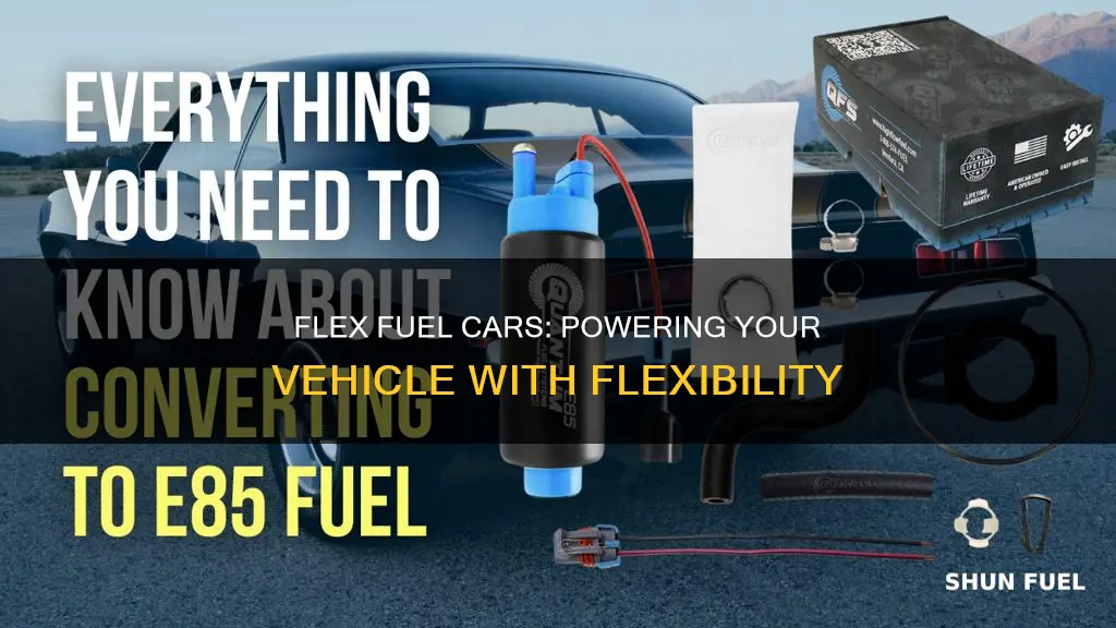 what is flex fuel in a car