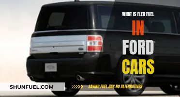 Ford's Flex Fuel: Powering Cars with Flexibility