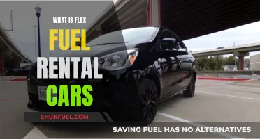 Understanding Flex Fuel Cars: A Guide to Rental Options