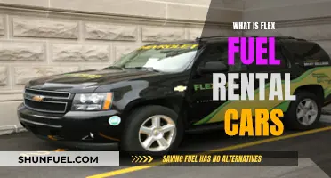 Flex Fuel Rental Cars: Exploring the Green Option