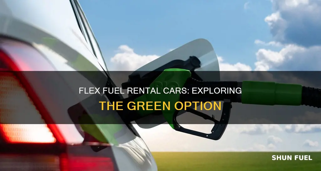 what is flex fuel rental cars