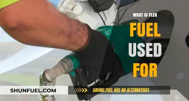 Understanding Flex Fuel: Uses, Benefits, and Applications in Vehicles