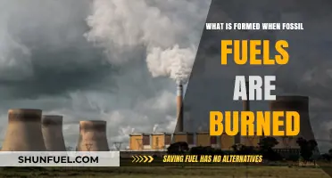 Burning Fossil Fuels: Unveiling the Emissions and Environmental Impact