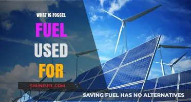 Fossil Fuels: Powering Industries, Transportation, and Daily Life Explained