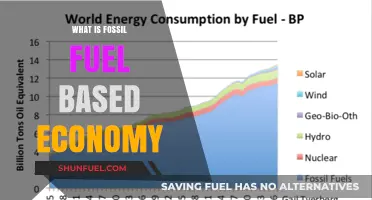 Understanding the Fossil Fuel-Based Economy: Origins, Impacts, and Future
