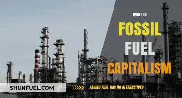 Fossil Fuel Capitalism: Understanding Its Impact and Global Dominance