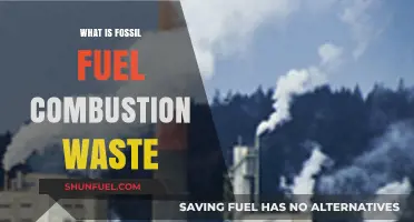 Understanding Fossil Fuel Combustion Waste: Impacts and Environmental Concerns