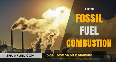 Fossil Fuel Combustion: Burning Our Future