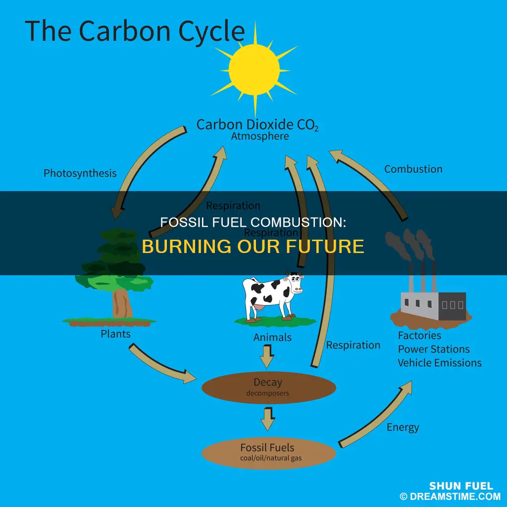 what is fossil fuel combustion