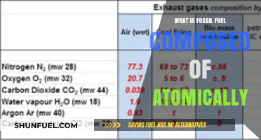 Unveiling Fossil Fuels: Atomic Composition of Carbon, Hydrogen, and Beyond