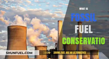 Understanding Fossil Fuel Conservation: Strategies for a Sustainable Energy Future