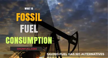 Understanding Fossil Fuel Consumption: Impact, Trends, and Sustainable Alternatives
