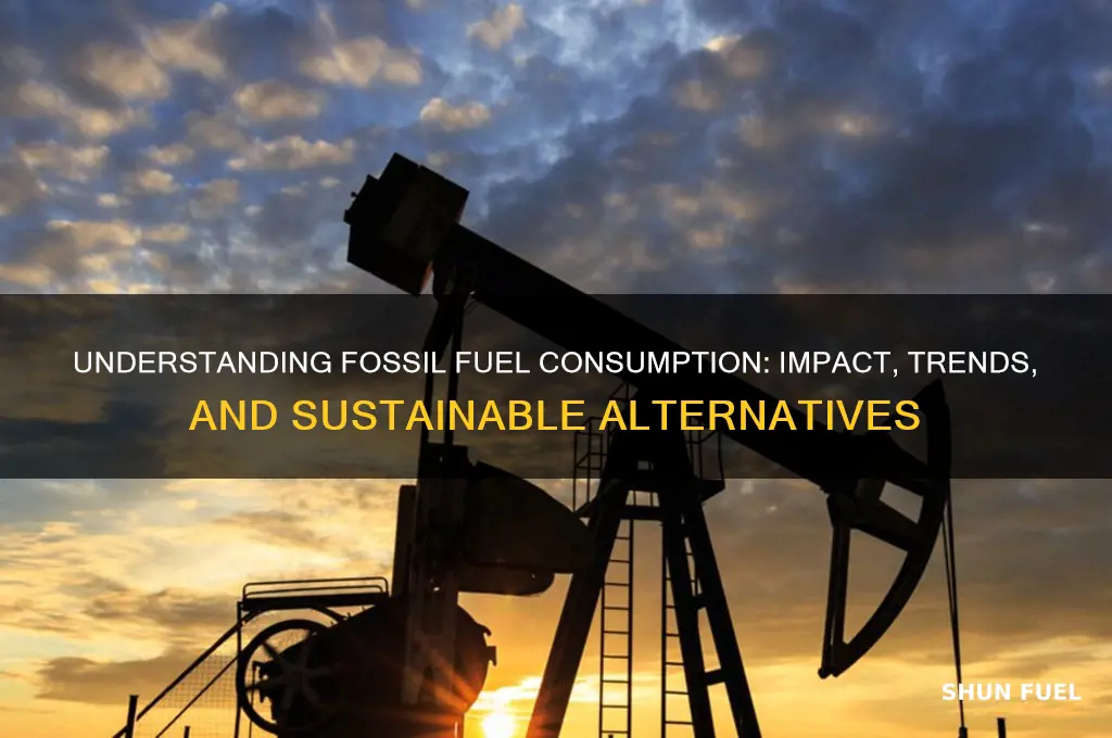 what is fossil fuel consumption